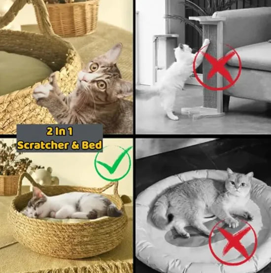 Handmade woven cat bed crafted from eco-friendly cattail leaves with a plush cushion, perfect for cats and small pets.