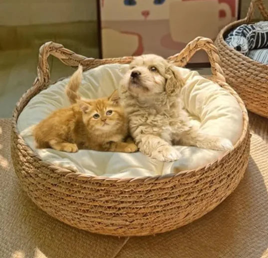Handmade woven pet bed with a cat and dog relaxing, featuring eco-friendly cattail material and plush cushion.