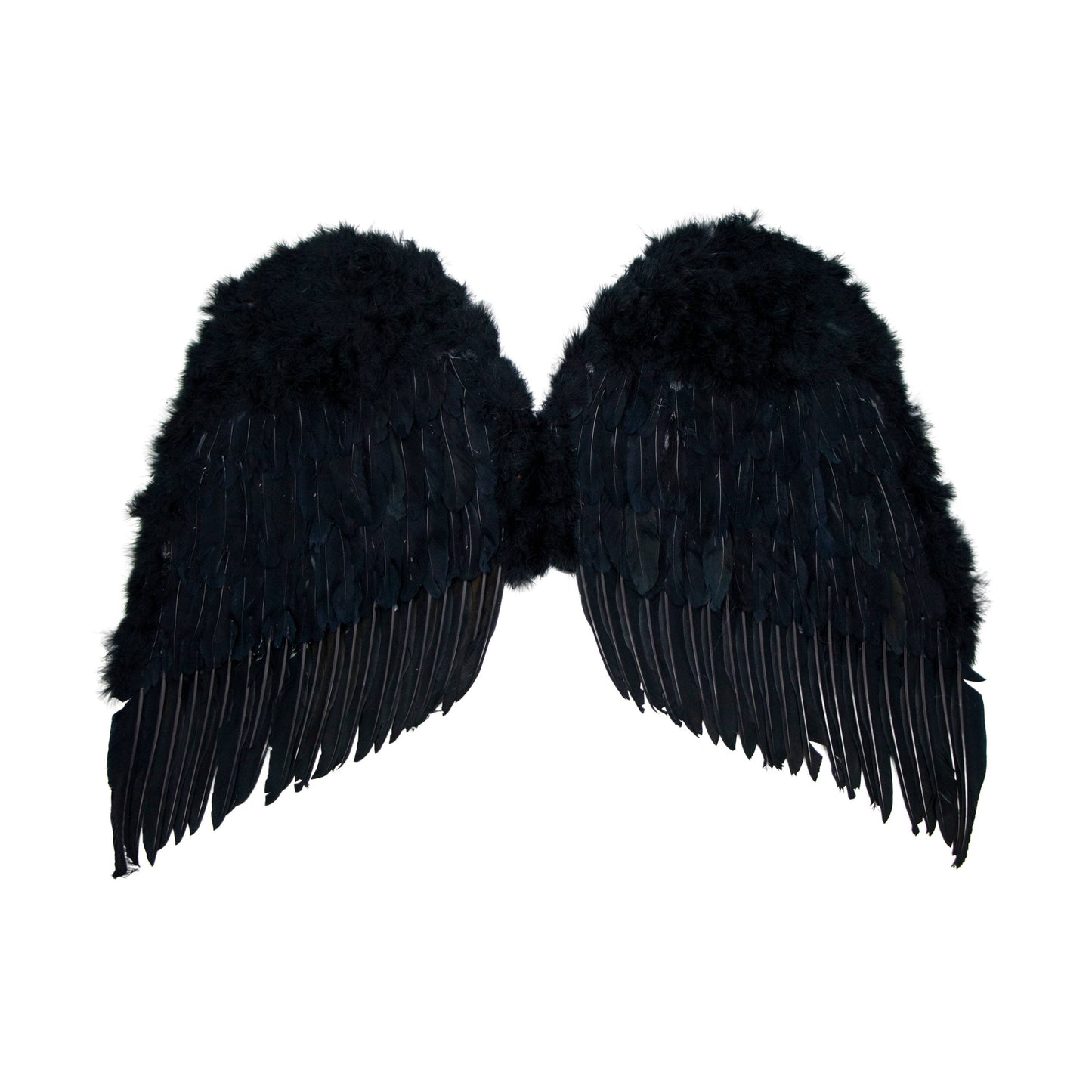 Western Fashion - Angel Wing - Adult 36in x 31in