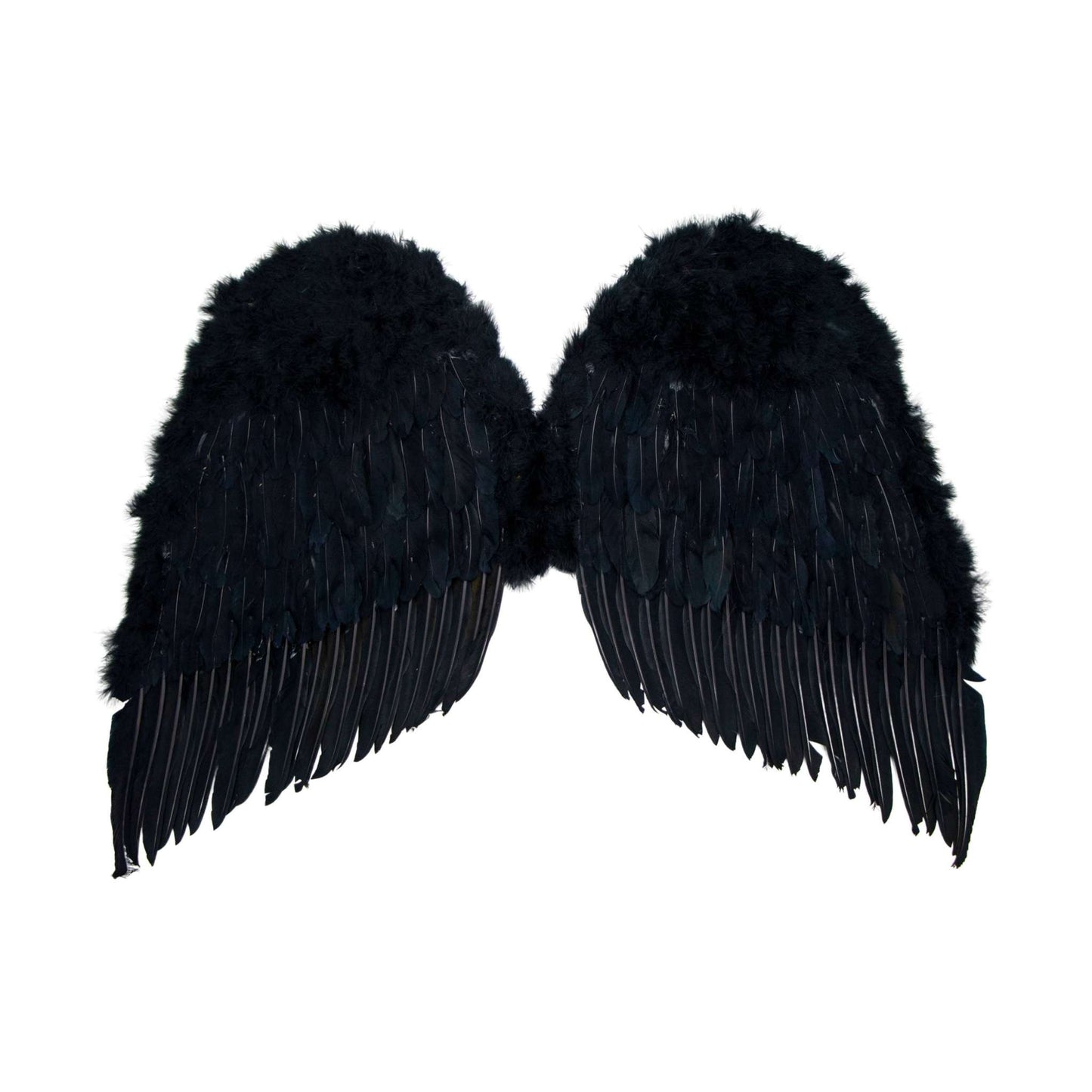 Western Fashion - Angel Wing - Adult 36in x 31in