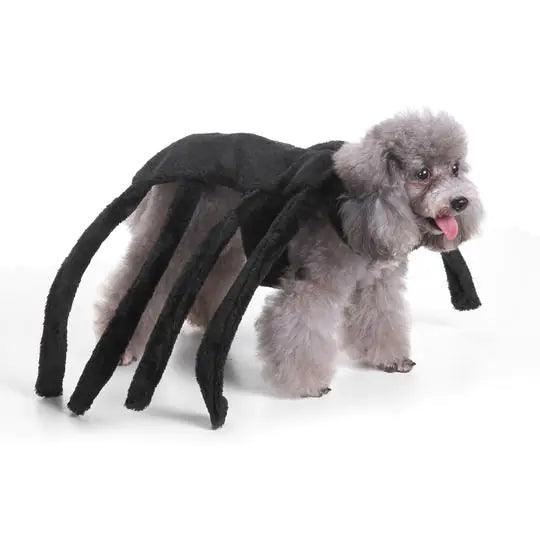 Dog Costume Extravaganza - Playful Pet Attires