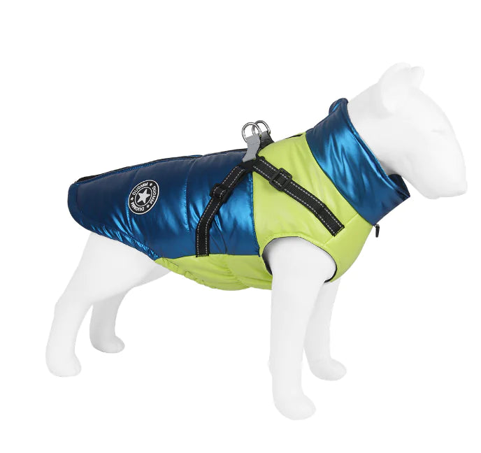 Stylish blue and green pet outfit from Chic Pet Outfits showcasing comfort and color variety.