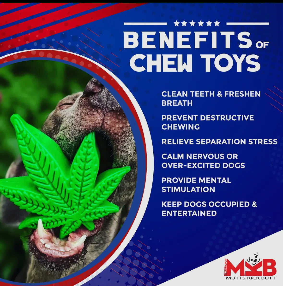 MKB Colorado Maple Leaf Dog Chew Toy