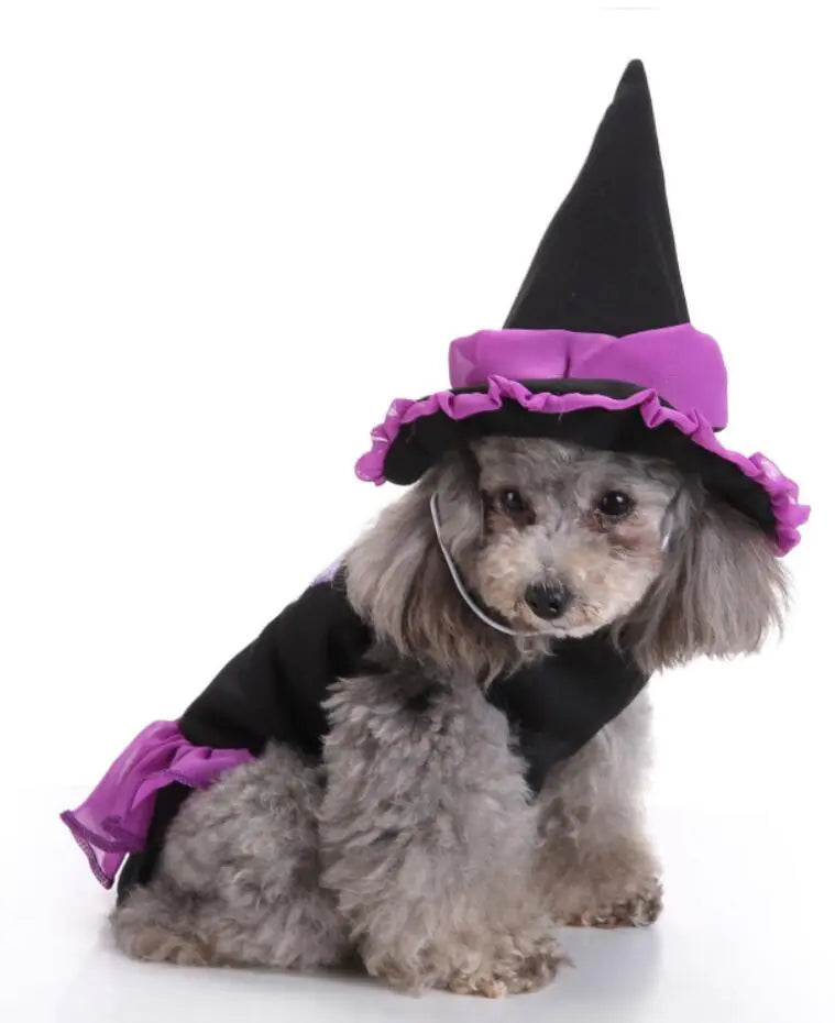 Dog Costume Extravaganza - Playful Pet Attires