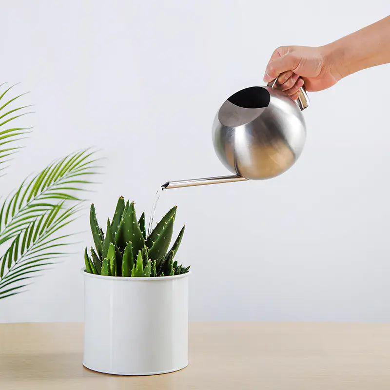 Sleek stainless steel watering can in use, watering indoor plant with precision spout.