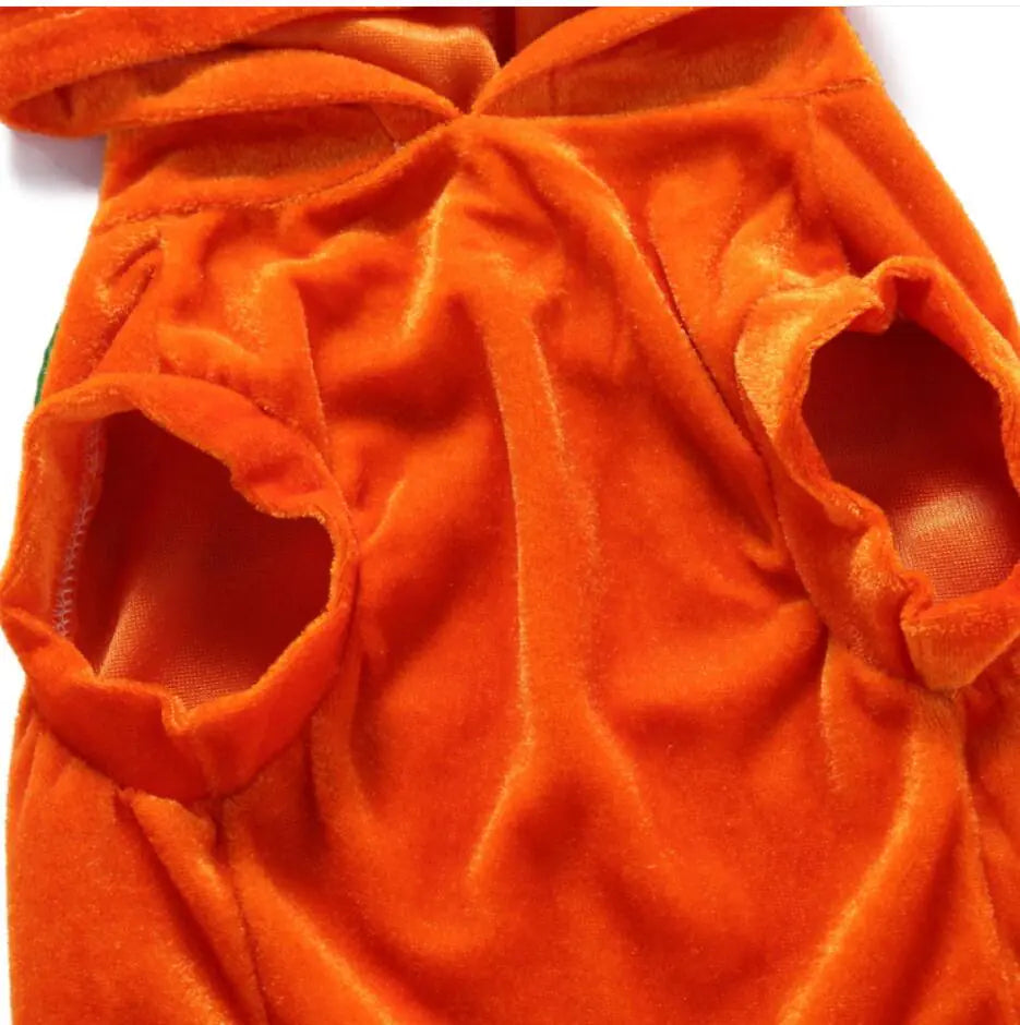 Dog Costume Extravaganza - Playful Pet Attires