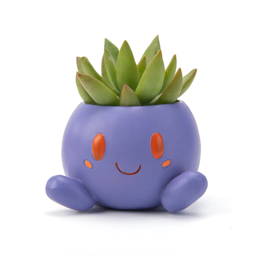Cute Oddish planter with succulent in zi-purple color.