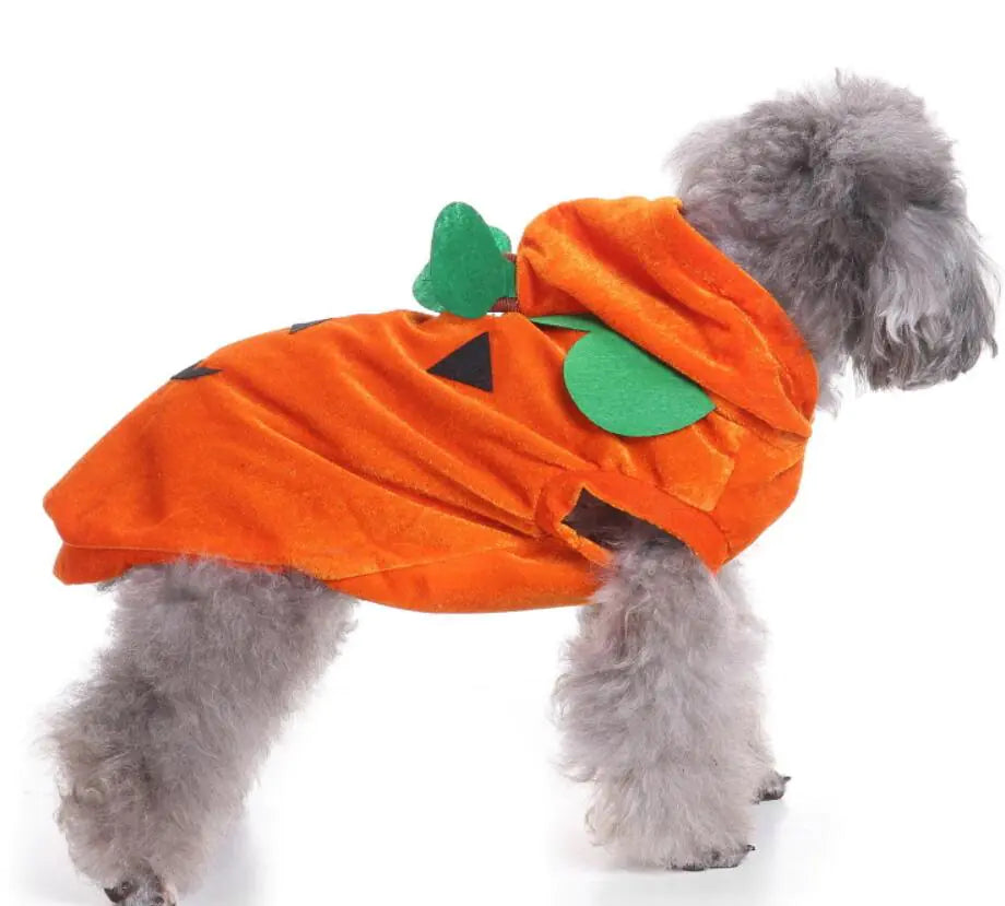 Dog Costume Extravaganza - Playful Pet Attires