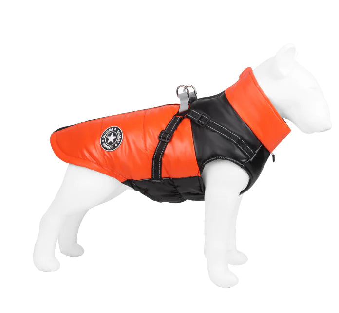 Stylish dog outfit in orange and black from Chic Pet Outfits collection.