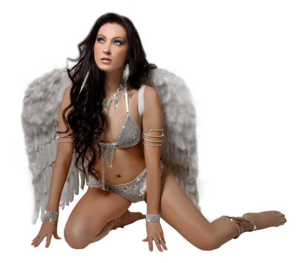 Adult angel wings costume accessory by Western Fashion worn with silver attire