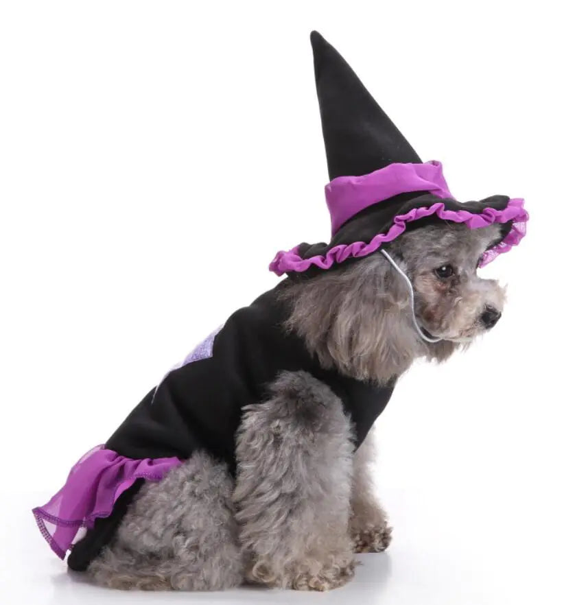 Dog Costume Extravaganza - Playful Pet Attires