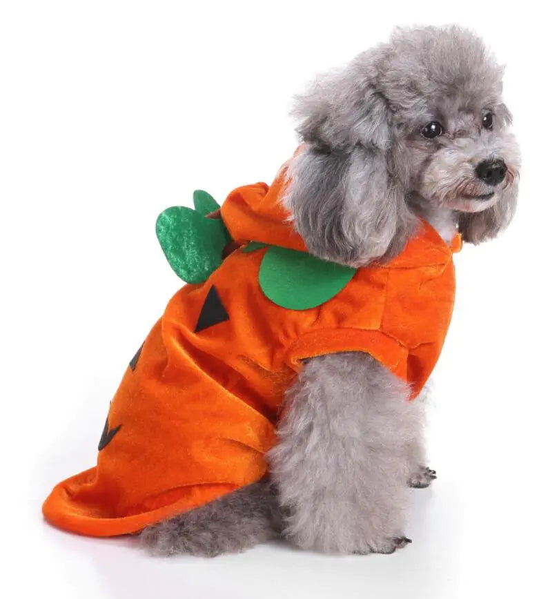 Dog Costume Extravaganza - Playful Pet Attires
