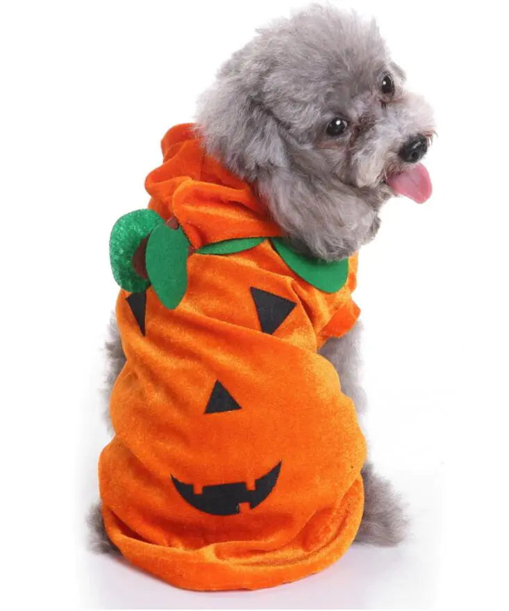 Dog Costume Extravaganza - Playful Pet Attires