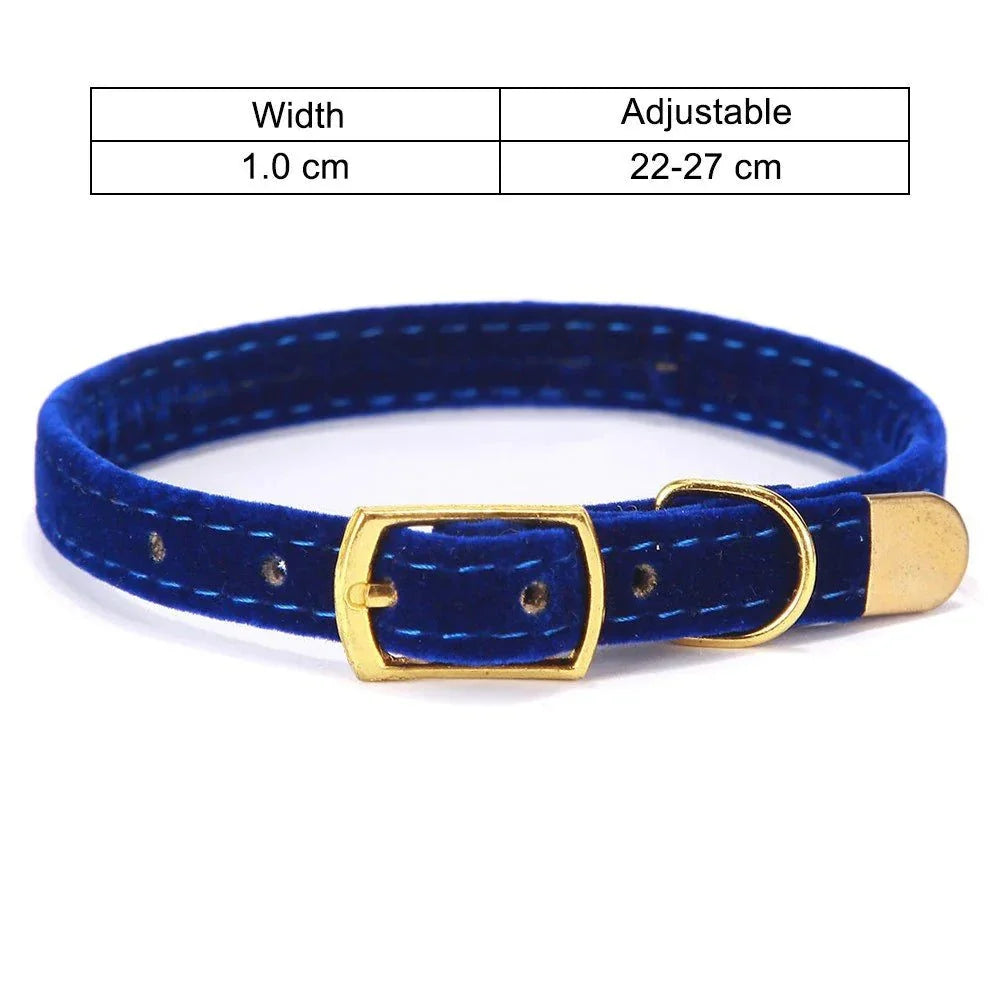 Adjustable blue cat collar with gold buckle and breakaway design.