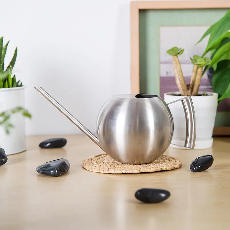 Stainless steel watering can with spherical design on a table with indoor plants.