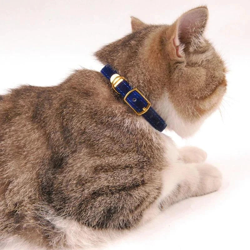 Stylish blue cat collar with a breakaway buckle for safety, crafted for comfort and durability.