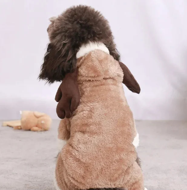 Seasonal Dog Attire