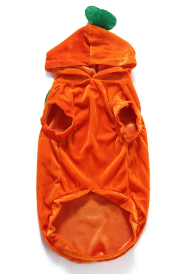 Dog Costume Extravaganza - Playful Pet Attires