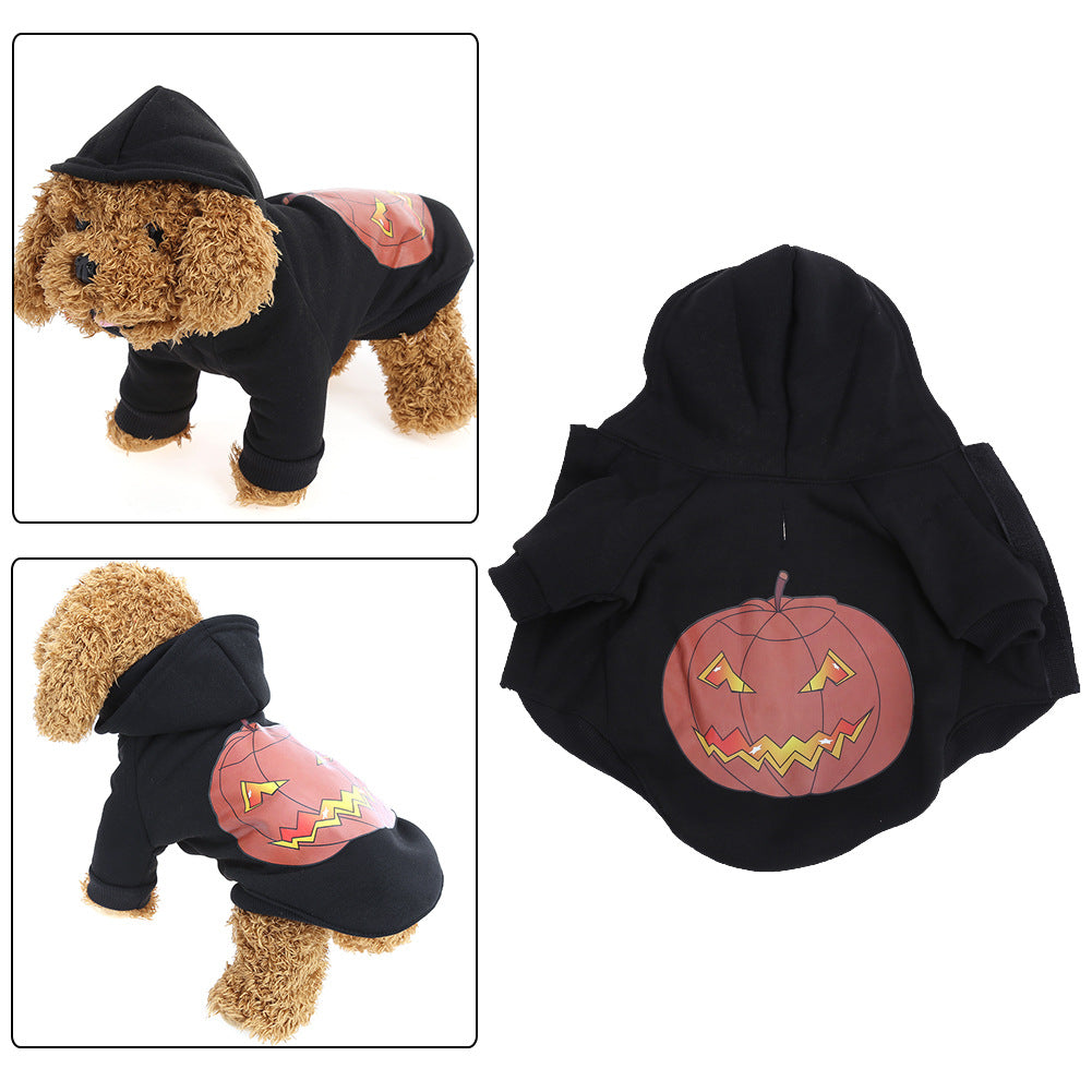 Skull Printed Cotton Dog Ghost Day Coat with pumpkin design on a fluffy dog.