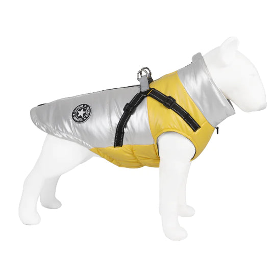 Stylish yellow and silver pet outfit with harness, showcasing chic pet fashion.