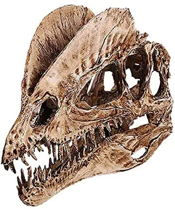 T-Rex Skull Aquarium Resin Decor