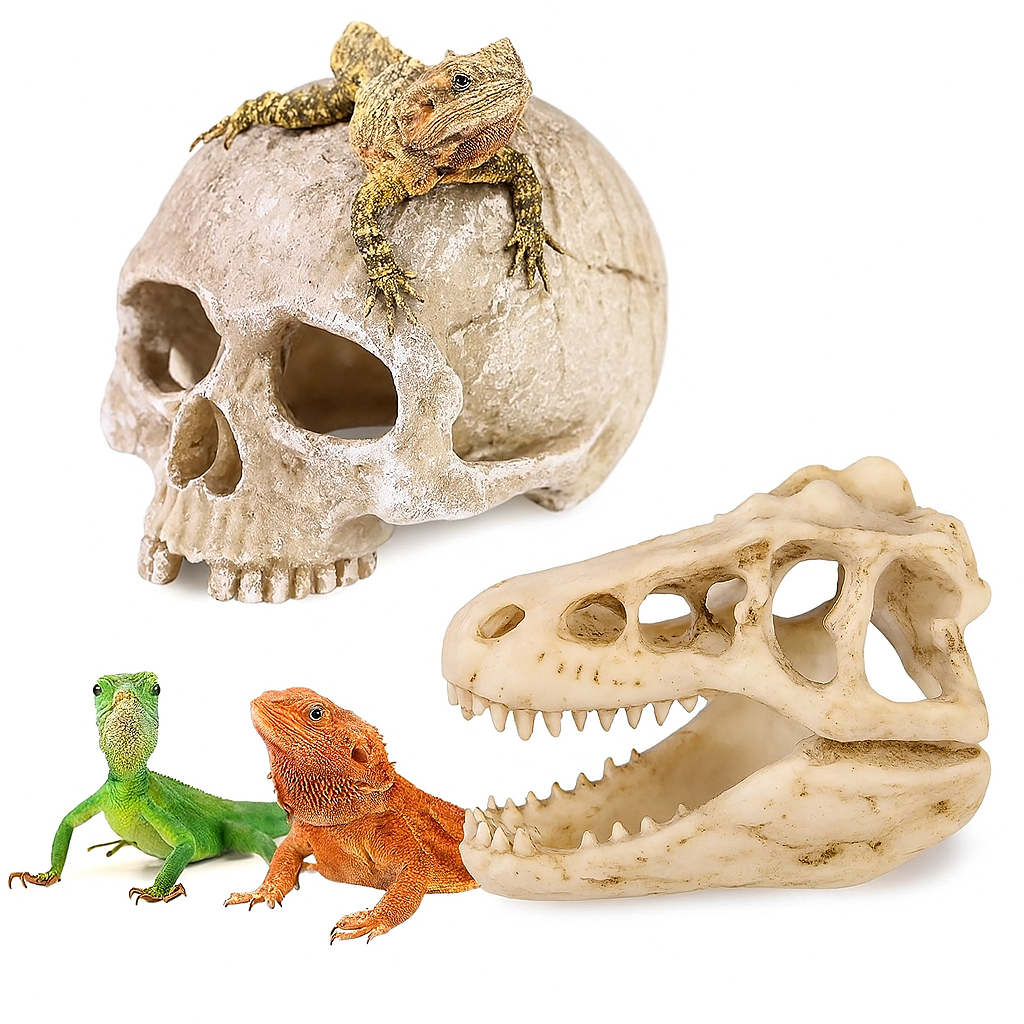 Human Dinosaur Skull 2 Pcs