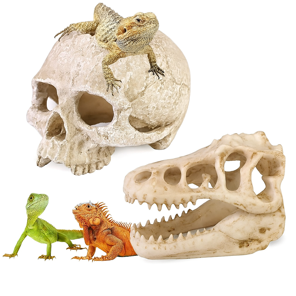 Human Dinosaur Skull 2 Pcs