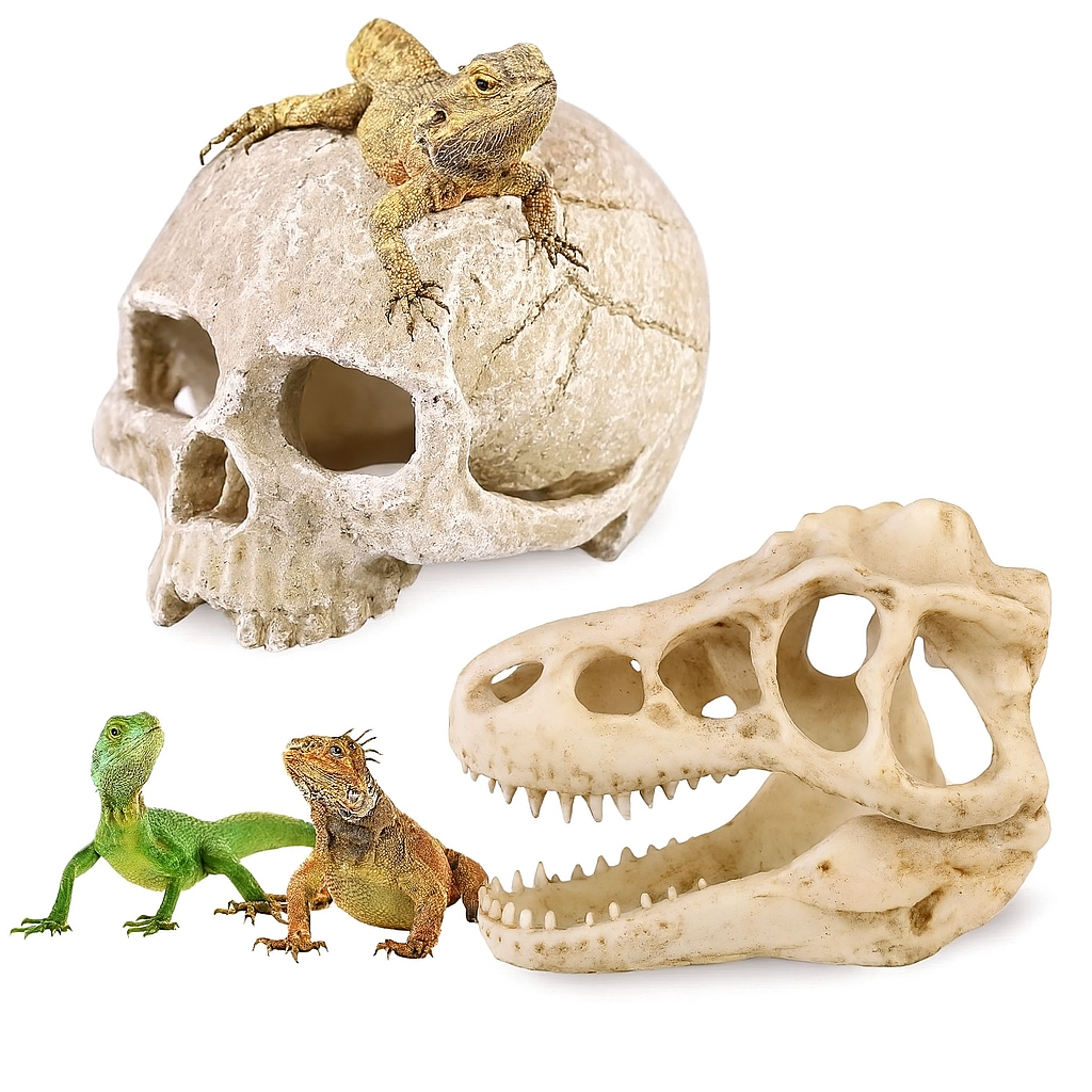 Human Dinosaur Skull 2 Pcs