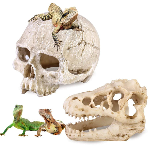 Tank accessories featuring resin human and dinosaur skulls as hideouts for reptiles and amphibians.