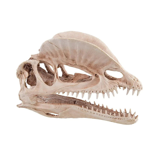 Lifelike Underwater Treasures Dinosaur Skull aquarium decoration.