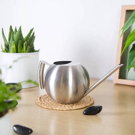 Stainless steel spherical watering can for indoor plants on a table, featuring a sleek modern design and long spout for precise watering.