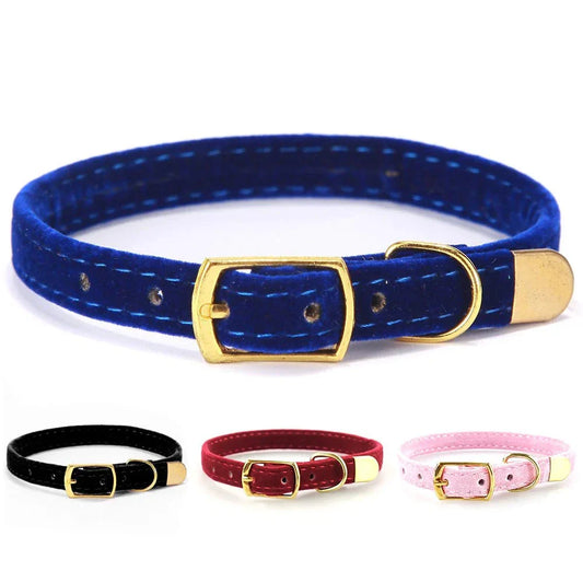 Stylish cat collars with breakaway buckle in various colors.