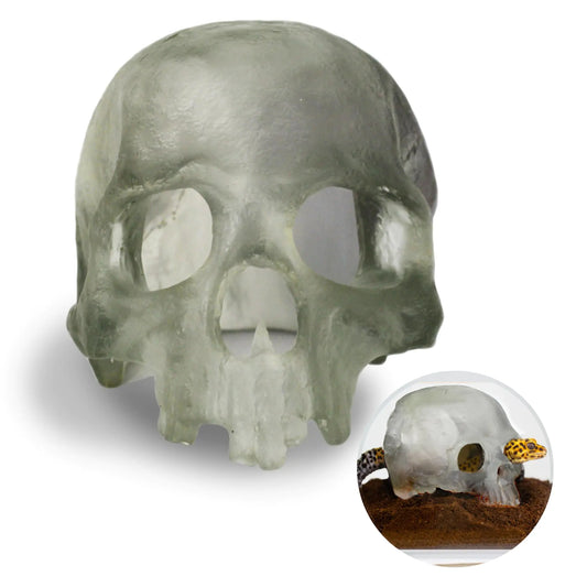 Premium Resin Spooky Skull Hide