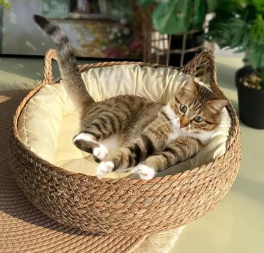 Handmade Woven Pet Bed with Cat Enjoying Cozy Cushion